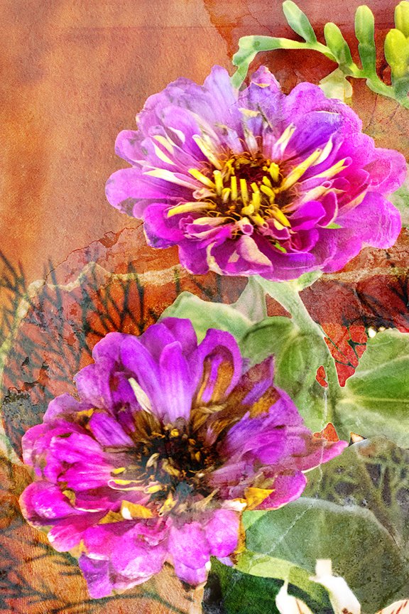 Flora_272