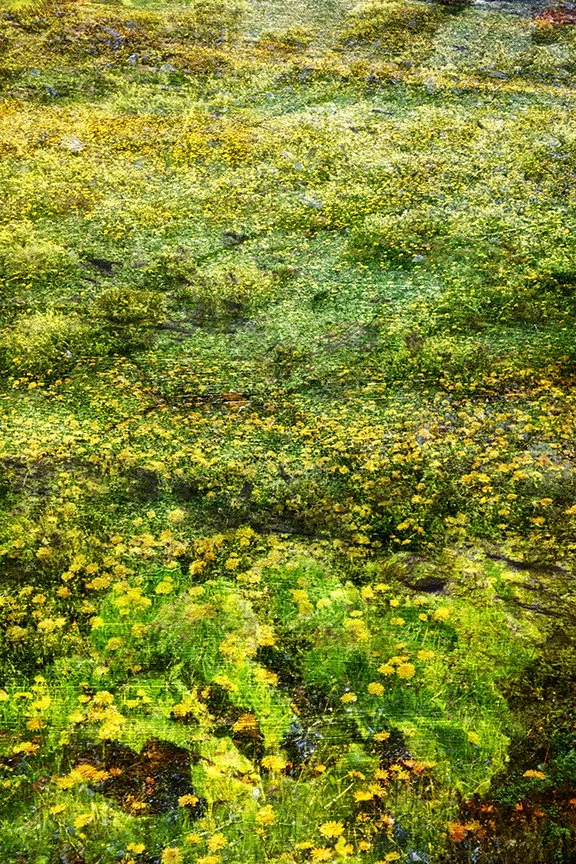 Landscape_191