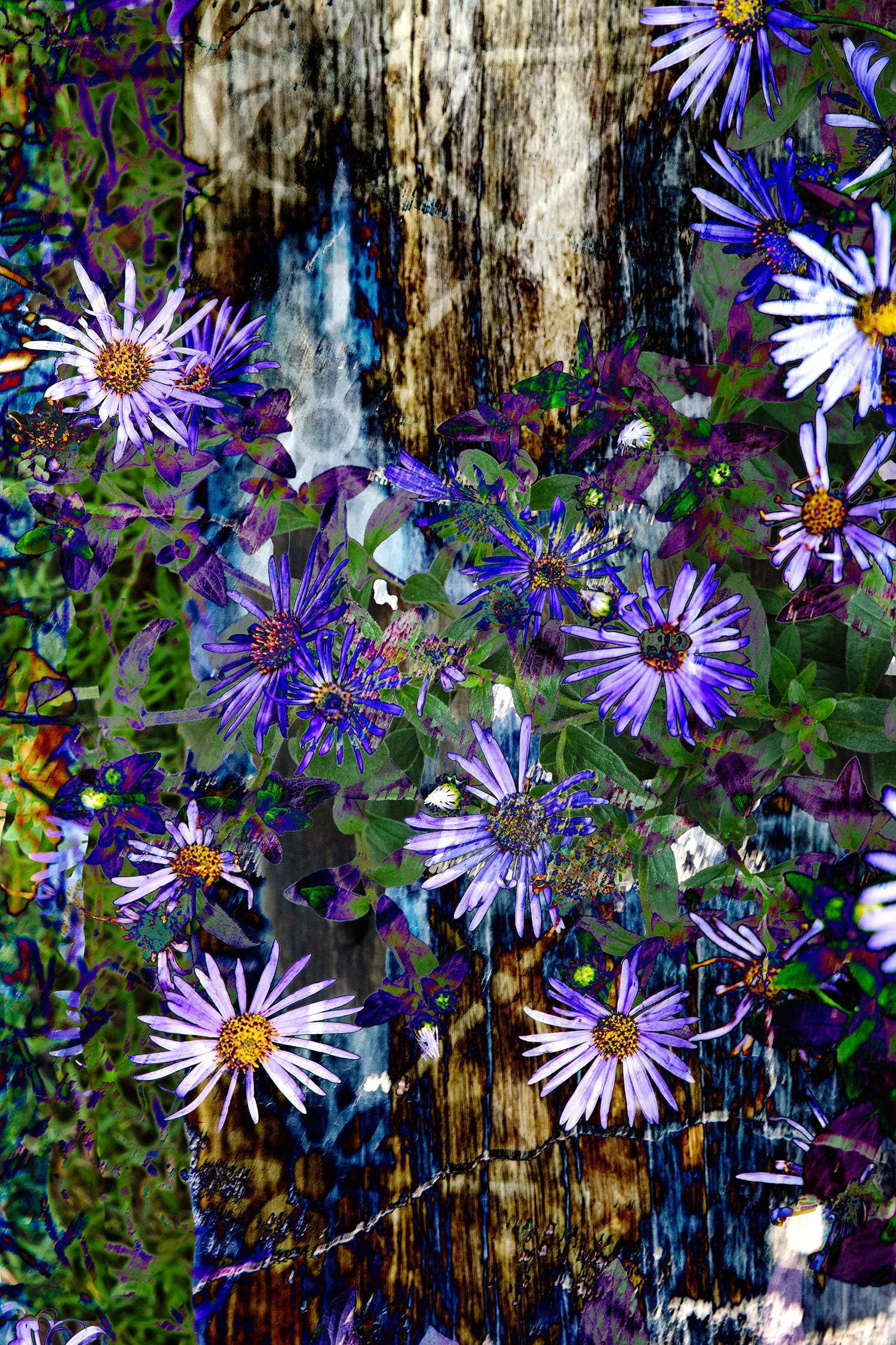 Flora_116