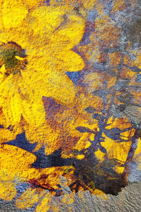 Flora_195