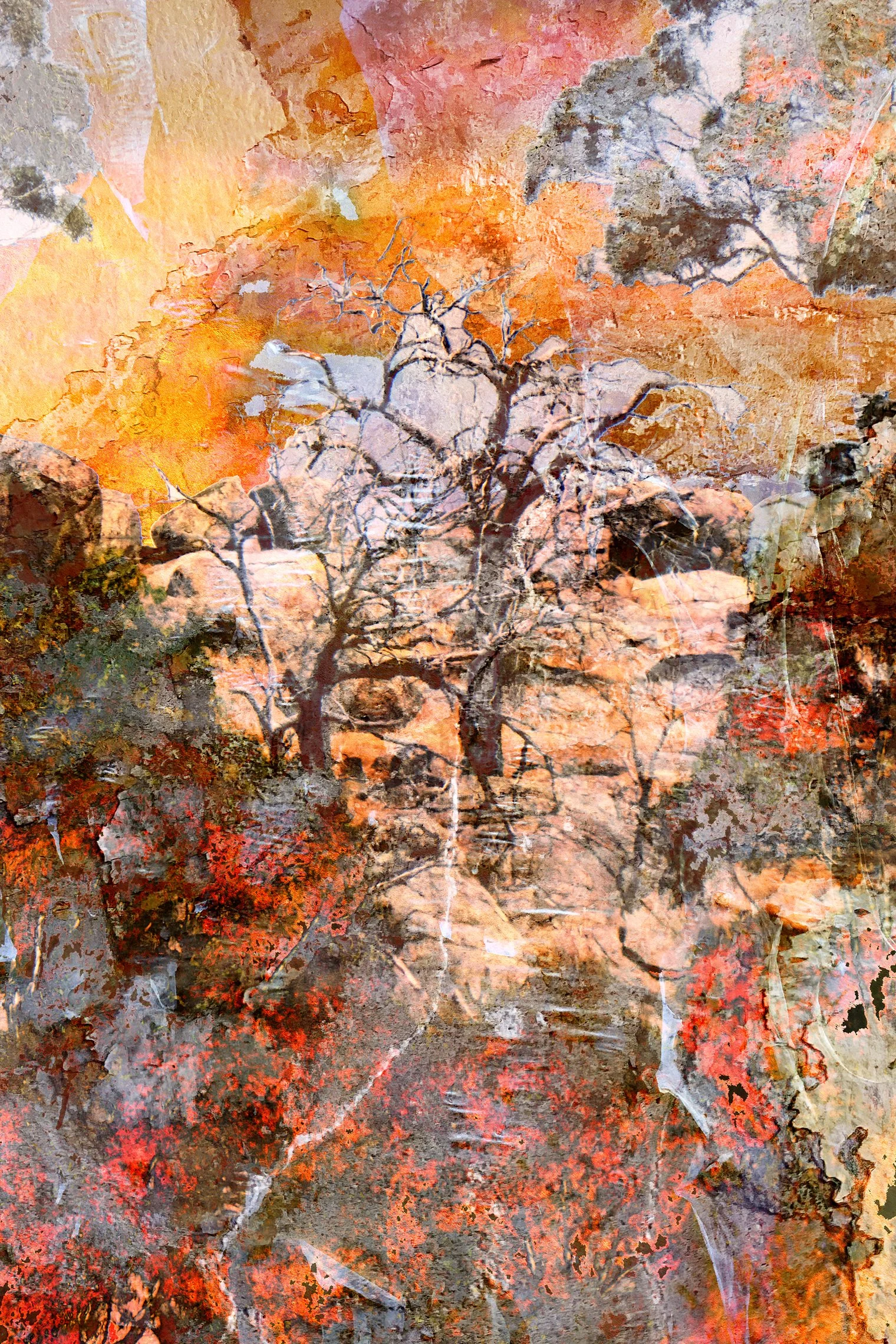Landscape_06