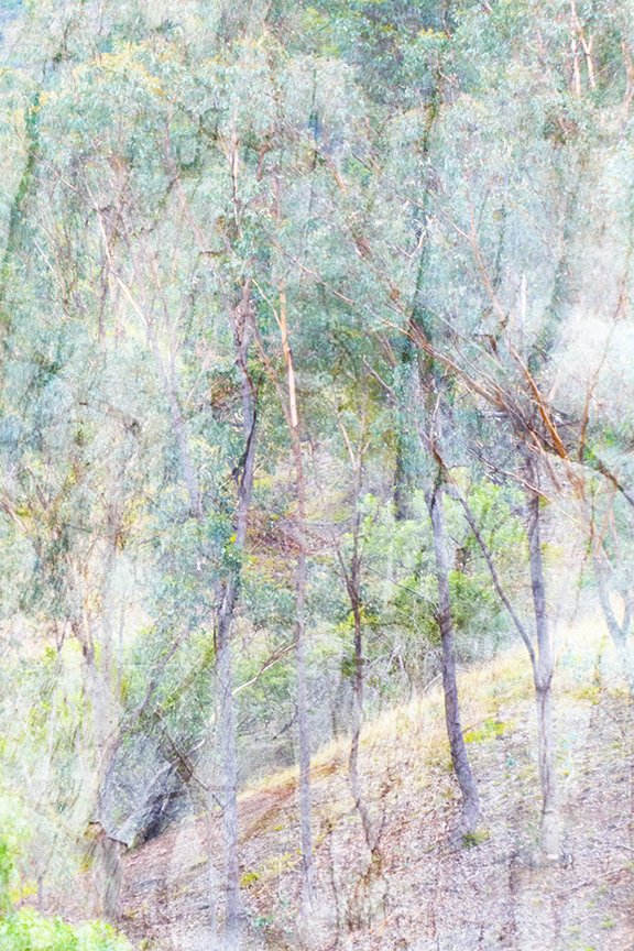 Landscape_74