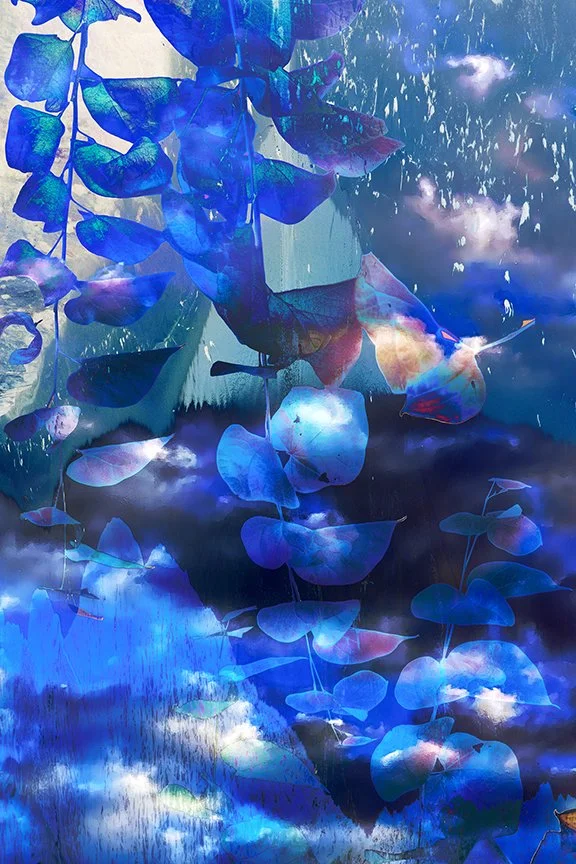 Foliage_11