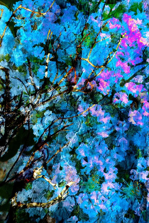 Foliage_83