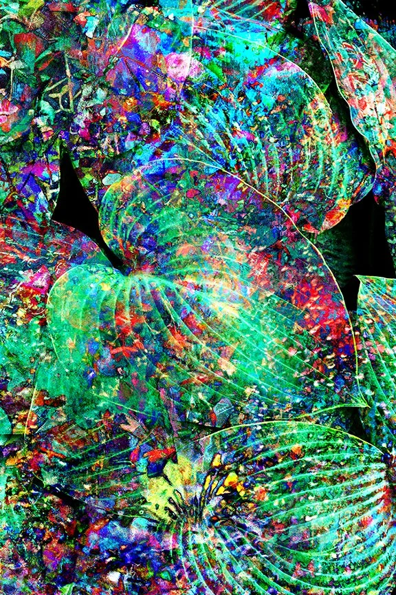 Foliage_18