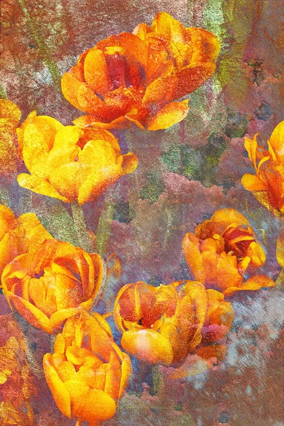 Flora_215