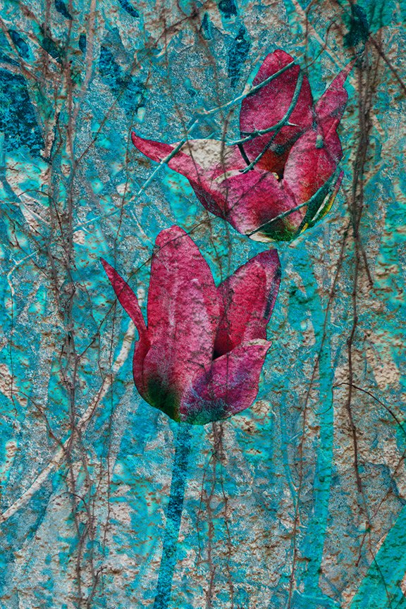 Flora_273