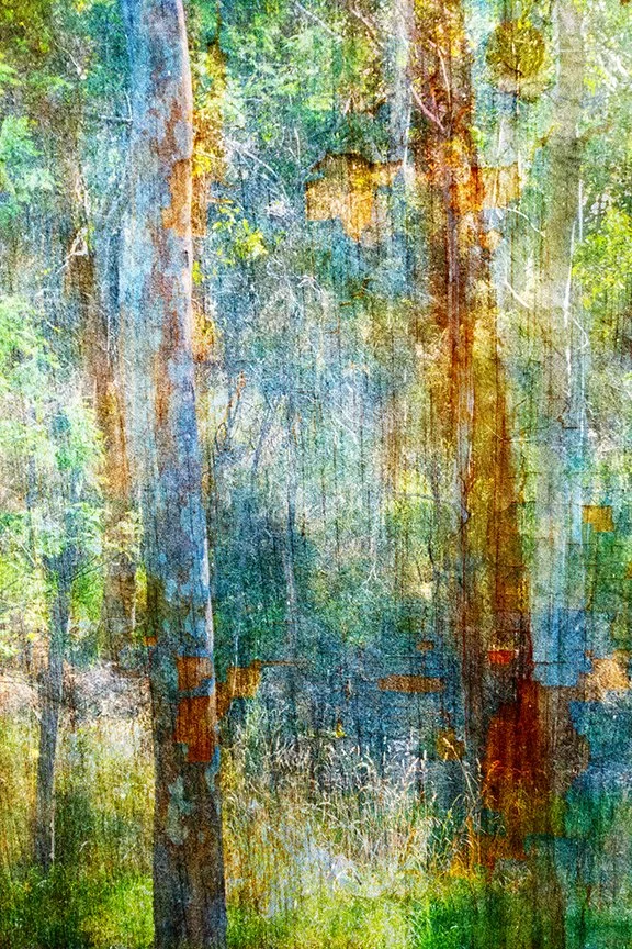 Landscape_186