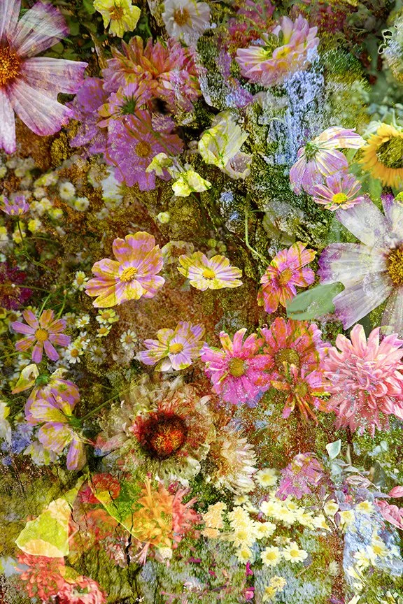Flora_25