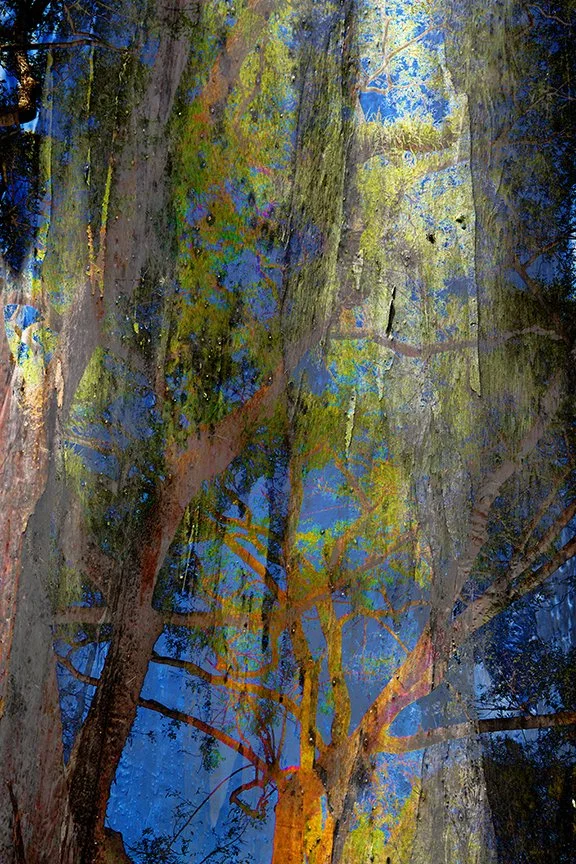 Landscape_105