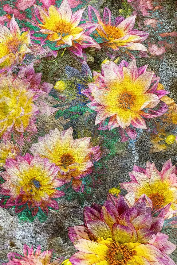 Flora_206