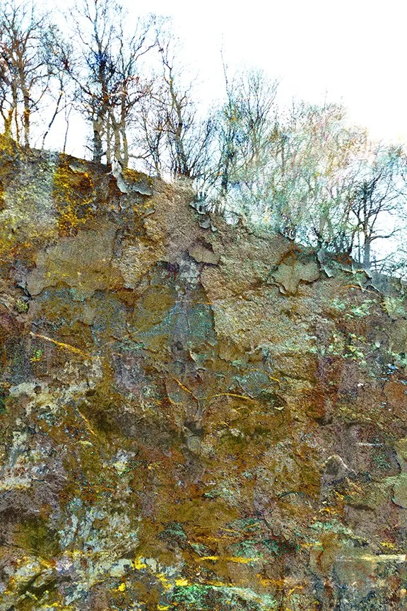 Landscape_192