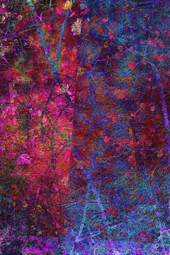 Foliage_19