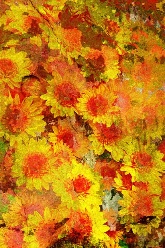 Flora_151