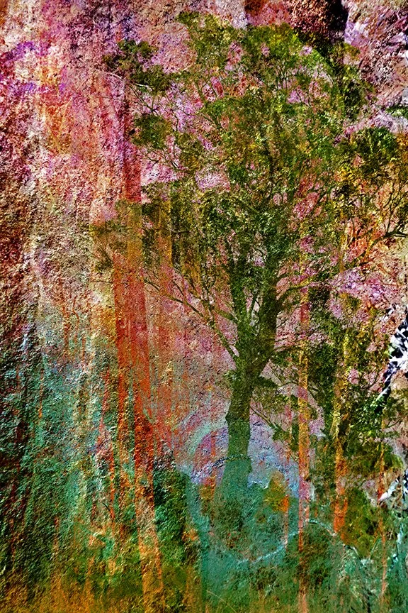 Landscape_176