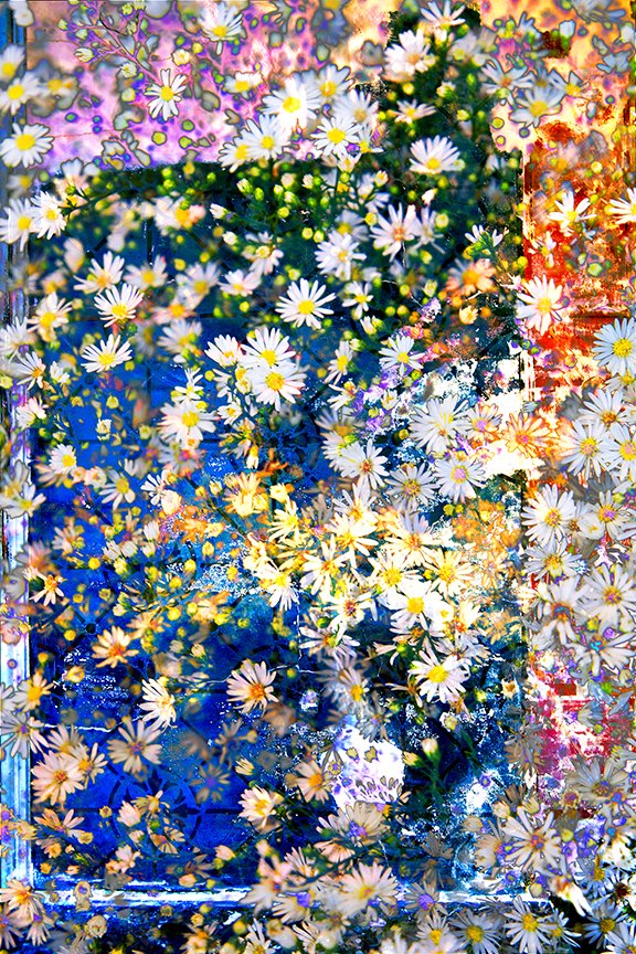 Flora_264