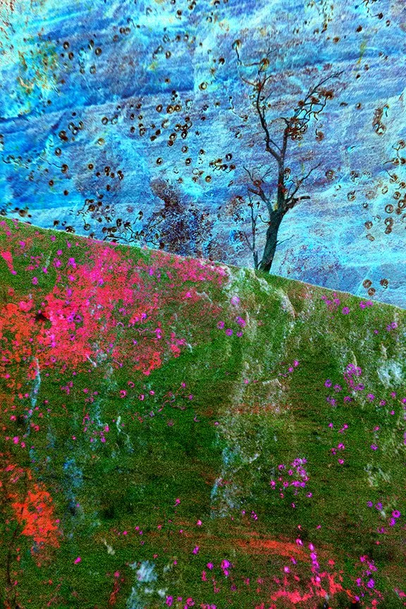Landscape_83