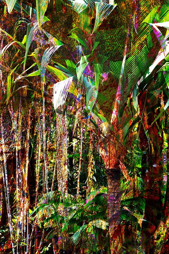 Foliage_150