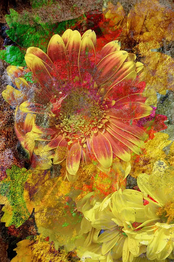 Flora_154