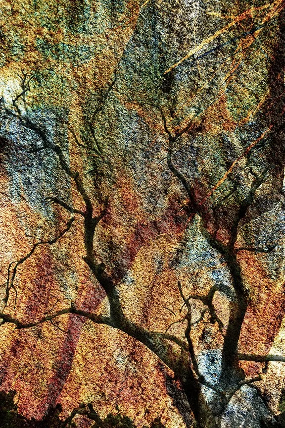 Foliage_178