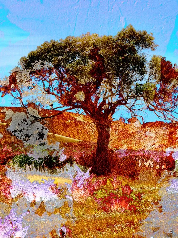 Landscape_73