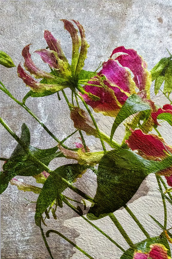 Flora_197