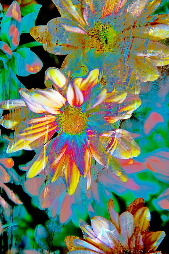 Flora_246