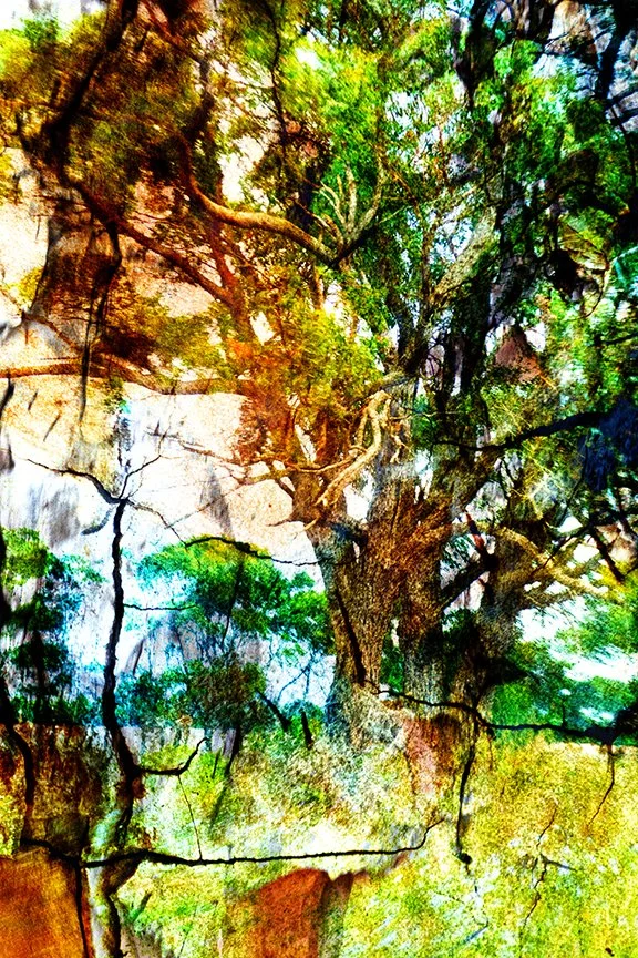 Landscape_78