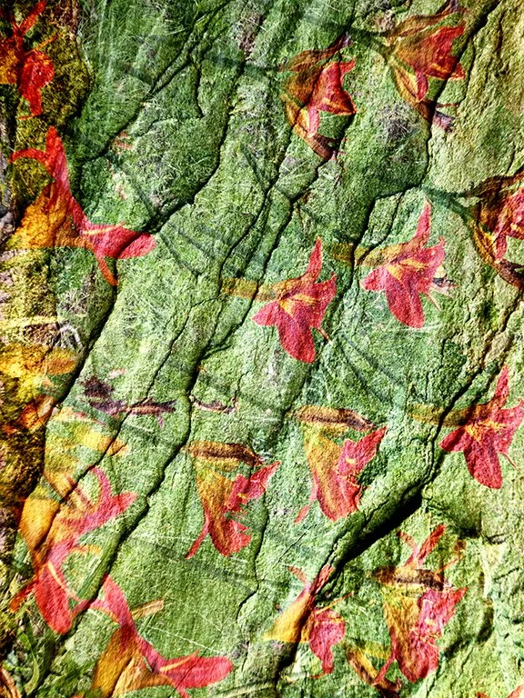 Flora_119