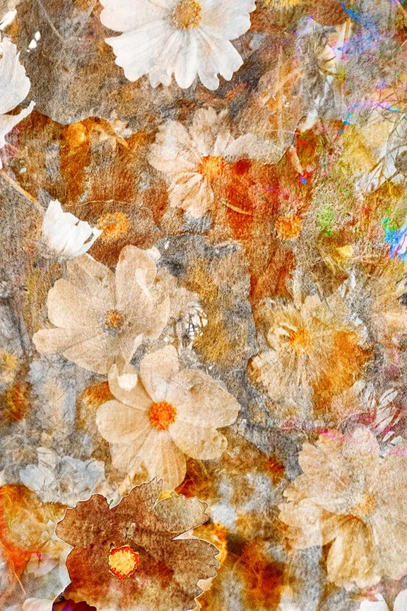 Flora_136