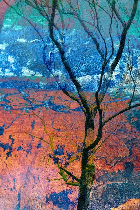 Landscape_64