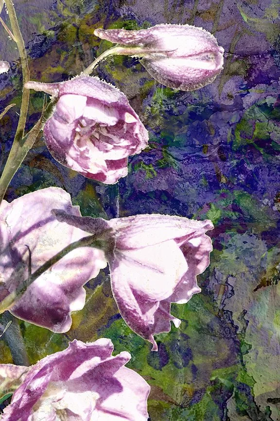 Flora_256