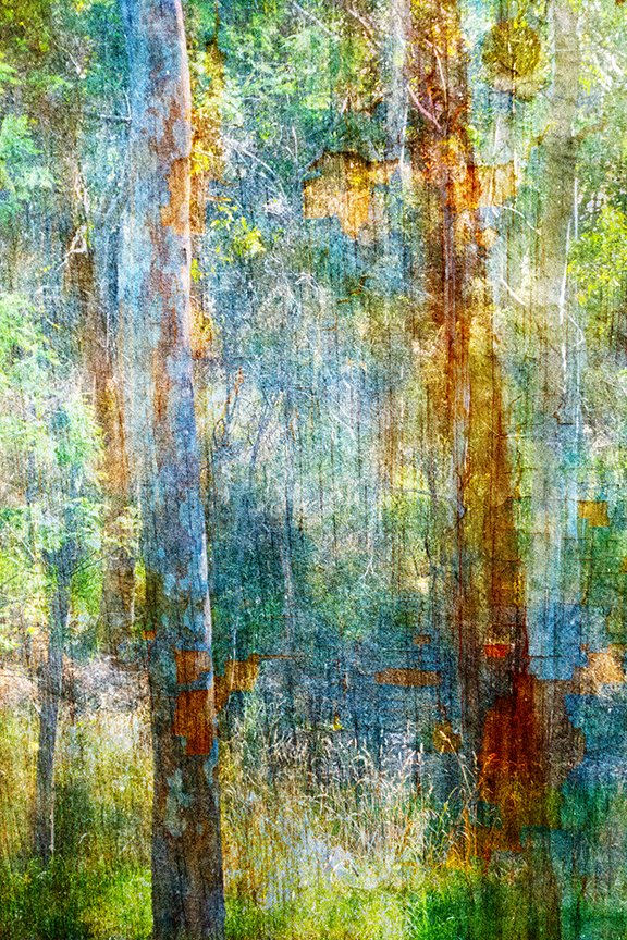 Landscape_186