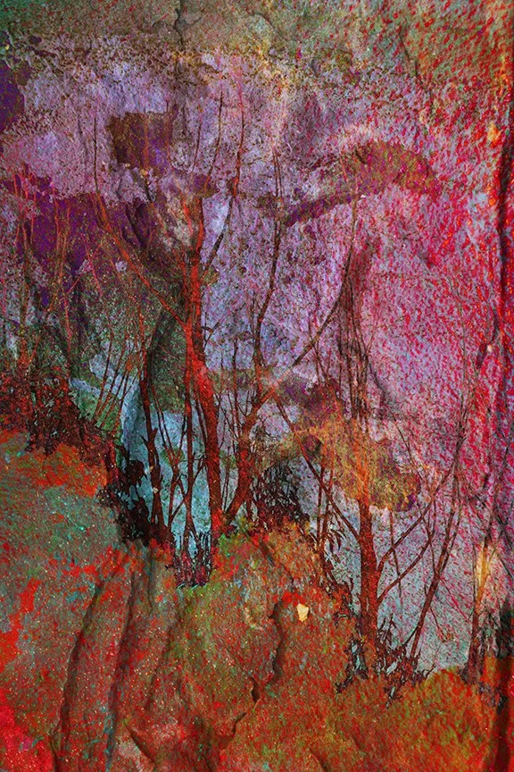 Landscape_188