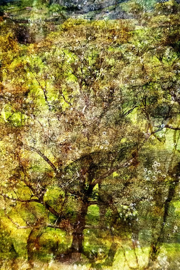 Landscape_54