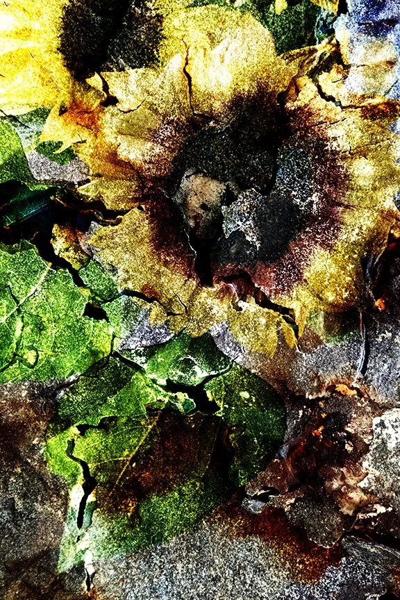 Flora_259