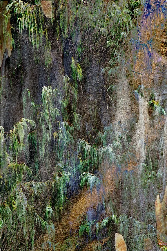 Foliage_155