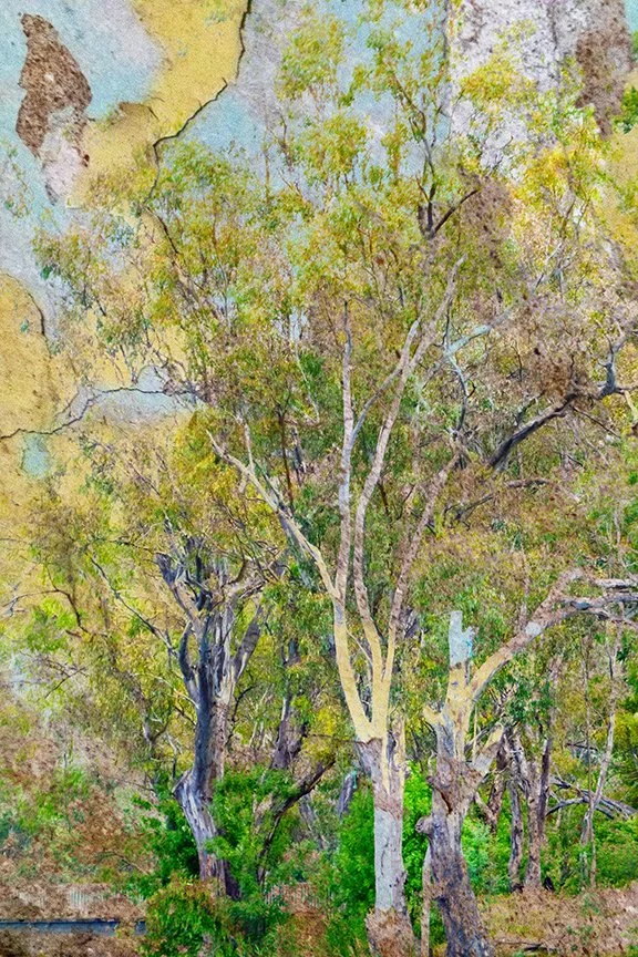 Landscape_30