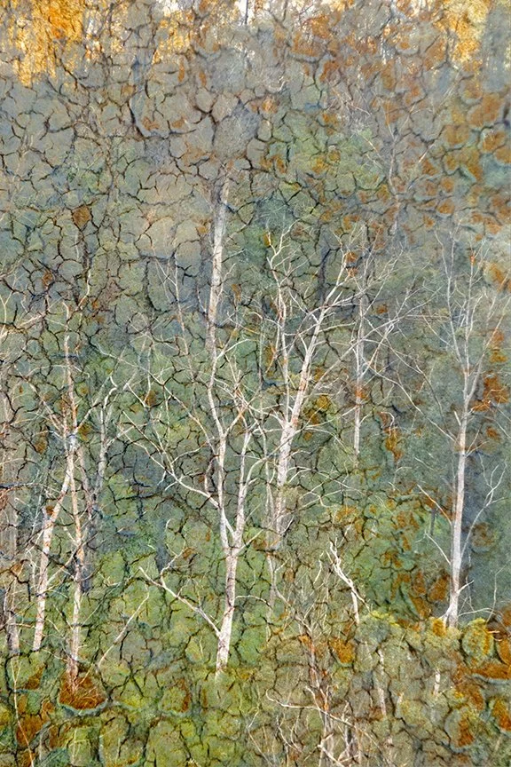 Landscape_185