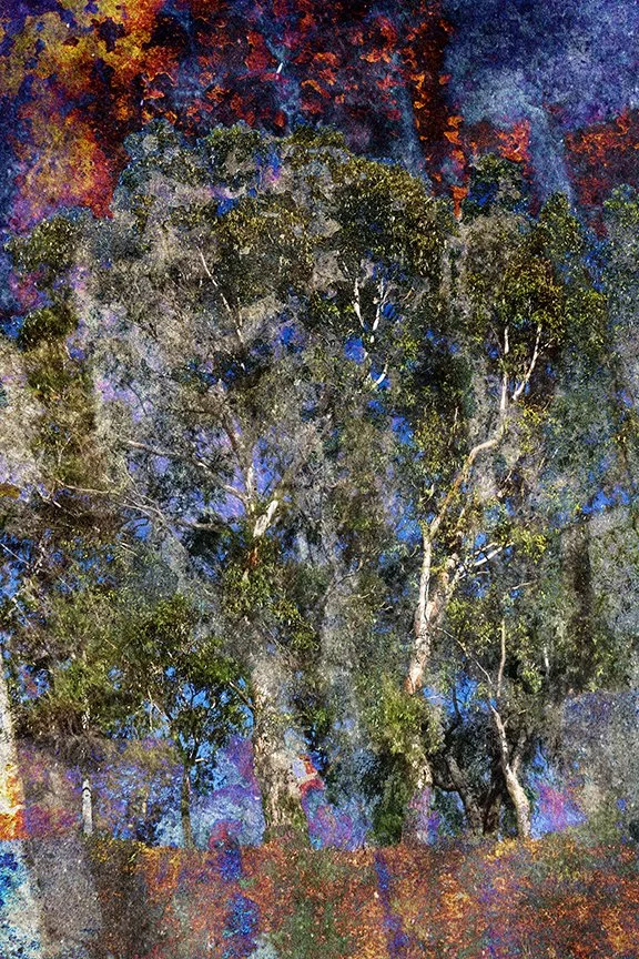 Landscape_183