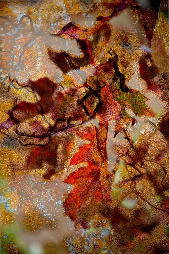 Foliage_152