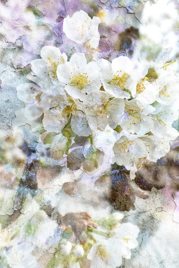 Flora_278