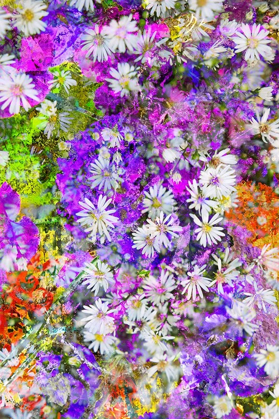 Flora_266
