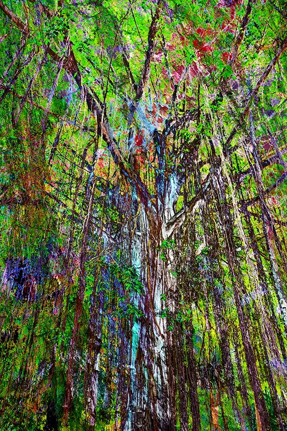 Landscape_107