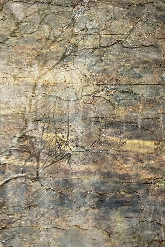 Foliage_182