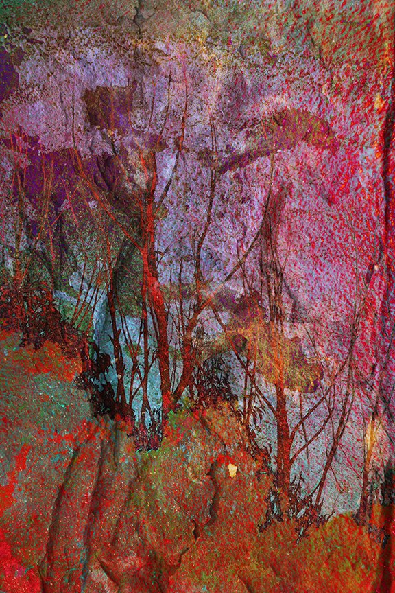 Landscape_188