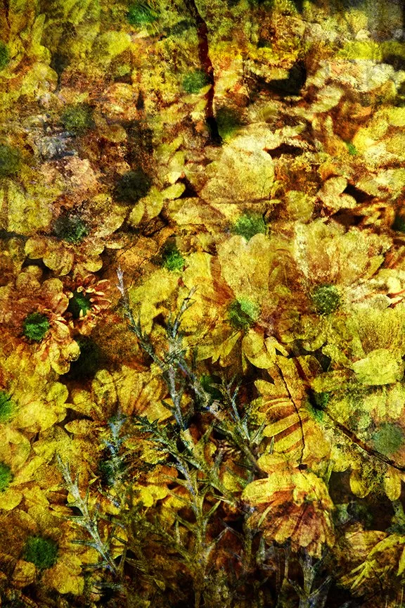 Flora_132