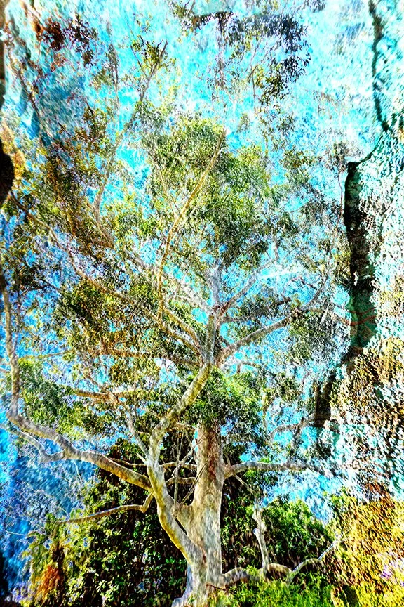 Foliage_93