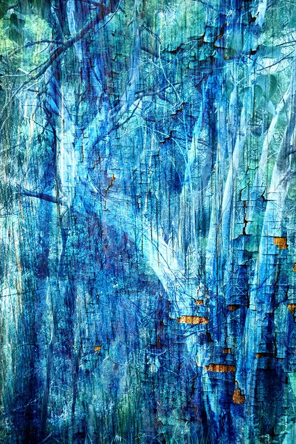 Lanscape_187