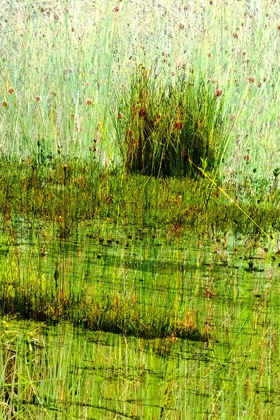 Landscape_177